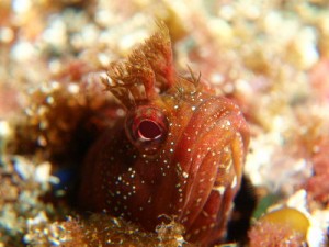 ７／１５　神子元ハンマーリバー！！