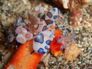 10/4　　旬な富戸♪♪