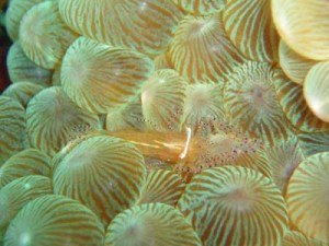 10/6　　秋の海♪♪