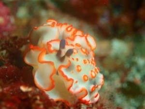 10/31 Happy Halloween♪♪