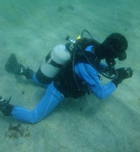 ４／１９　富戸の海情報♪　アオリイカ産卵床投入！！