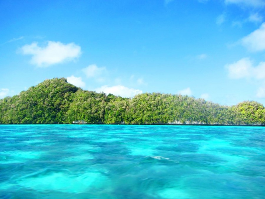 %e3%83%91%e3%83%a9%e3%82%aa1