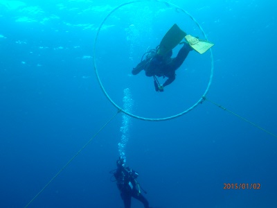 12/31~1/1 大晦日~元旦ダイブ♪♪