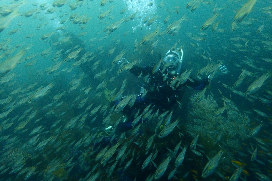5/2　富戸海ログ　ミニミニ探し♪