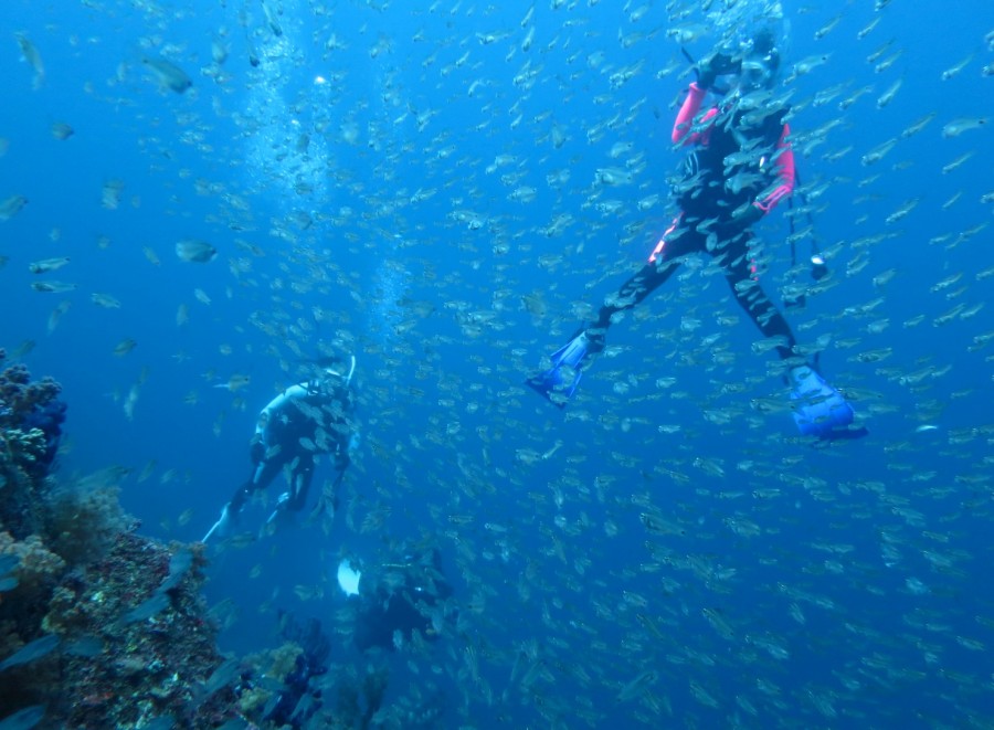 ９/１２　富戸の海ログ　人気者達勢ぞろい♪