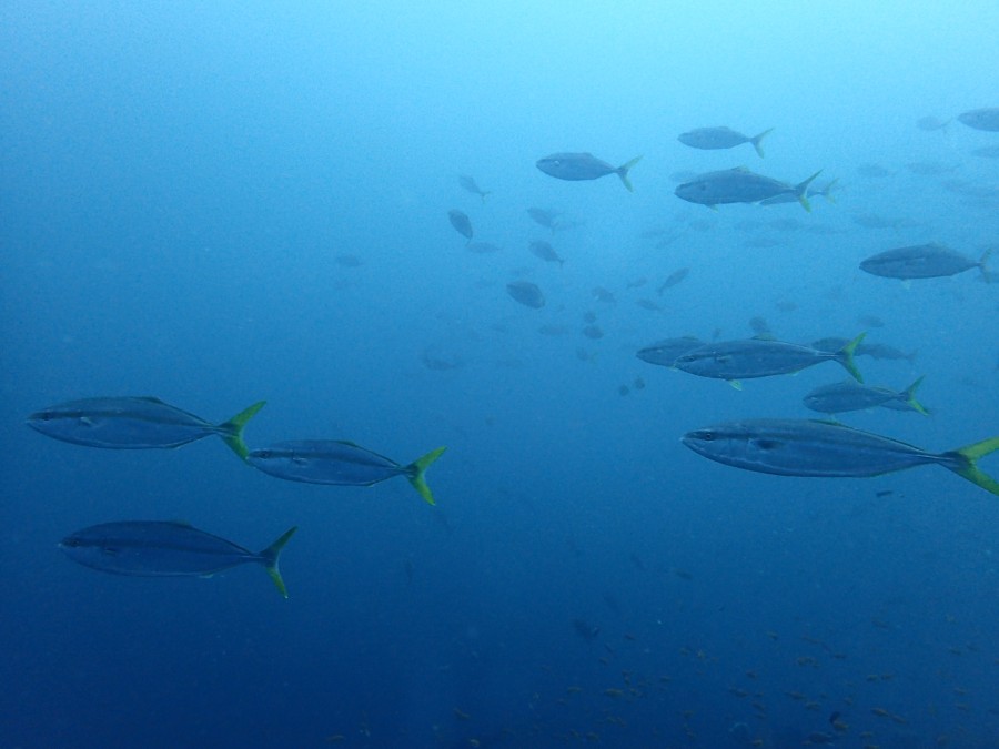 9/18 富戸海ログ　台風一過♪