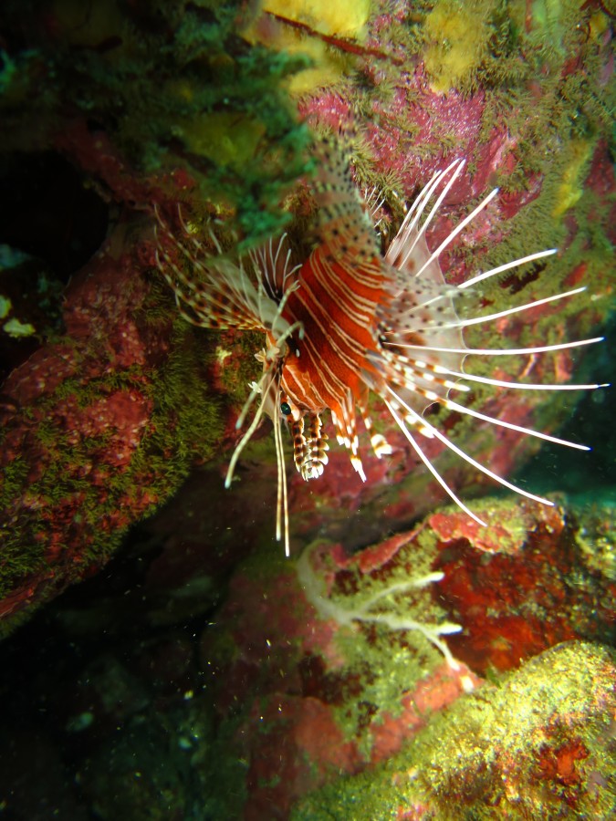 11/23　富戸海ログ　バシャバシャしても^^v