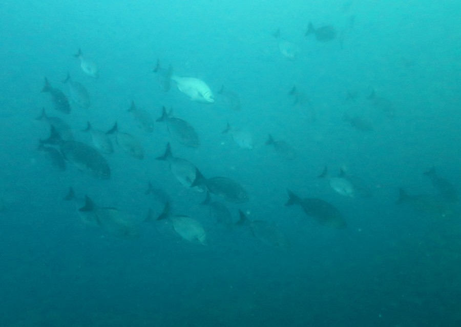 11/23　富戸海ログ　バシャバシャしても^^v