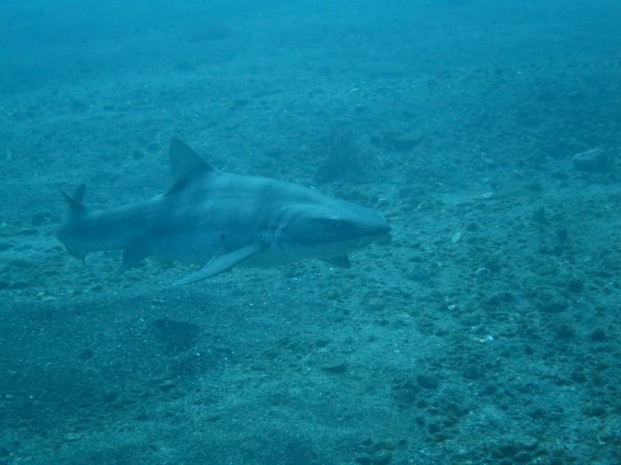 12/12 限定ボートポイントへ♪