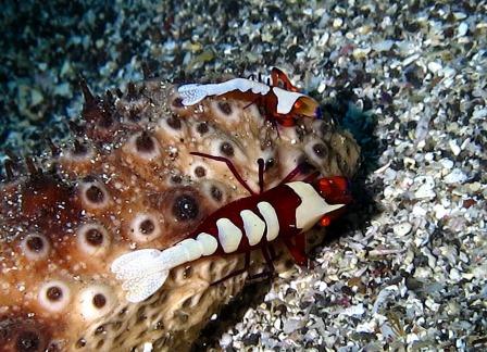 １２／２８　ボートも綺麗ですよ～ヽ(´▽｀)/