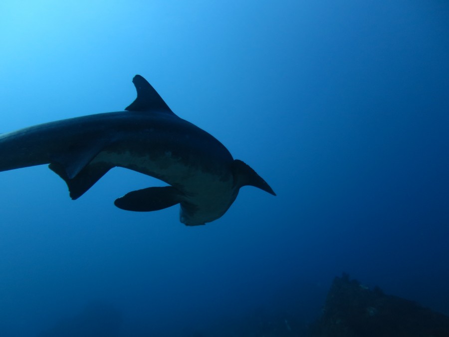 １２/３０　贅沢な遊び方を♪