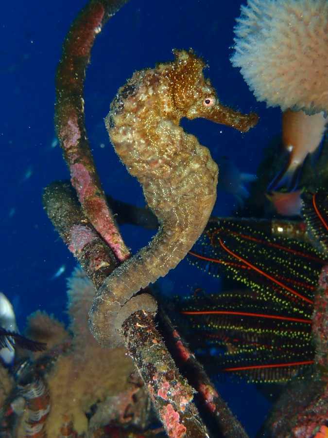 １／４　ビーチもボートも見どころ満載(*ﾟ▽ﾟ*)