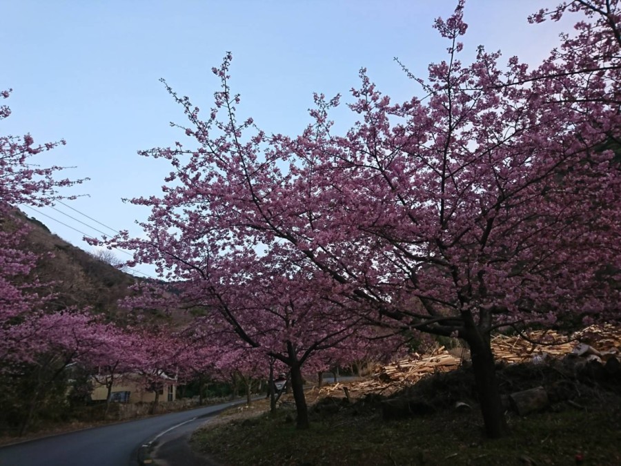 ２/２６　井田に移動～～！