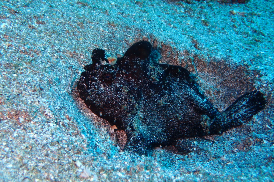 ２/１１　春らしくなってきたよ～