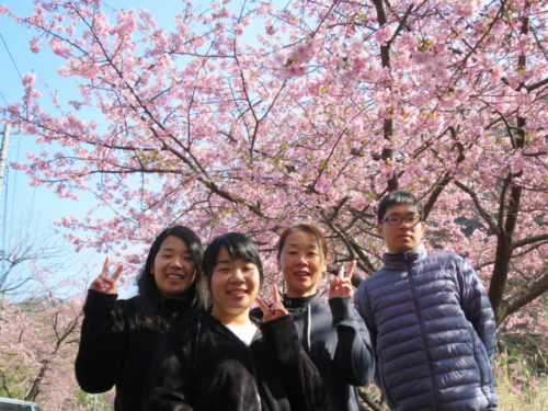 2/27 最高!!ピラミッドの魚影にミナミハコフグ?サギフエ??