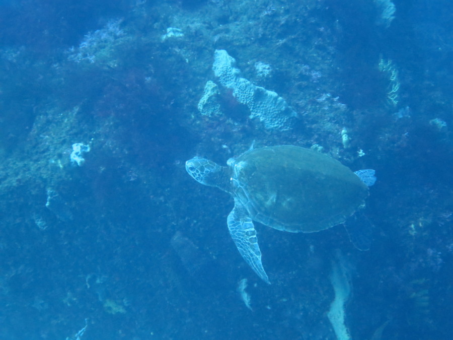 ３/４　まだまだ天使のダンゴちゃんを楽しめちゃいますよ～(≧∇≦)/