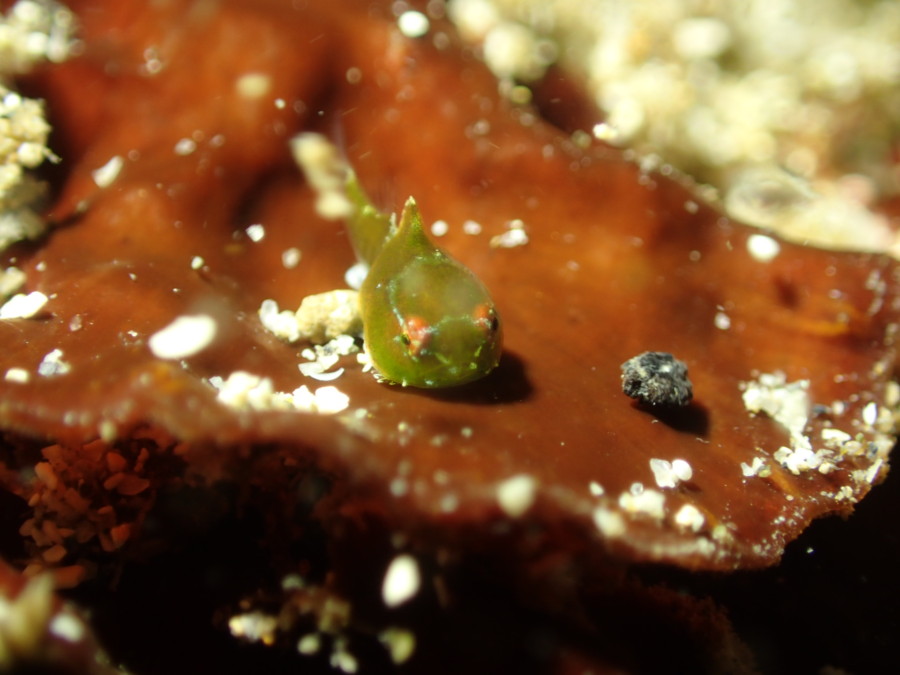 3/9 富士山が綺麗♪