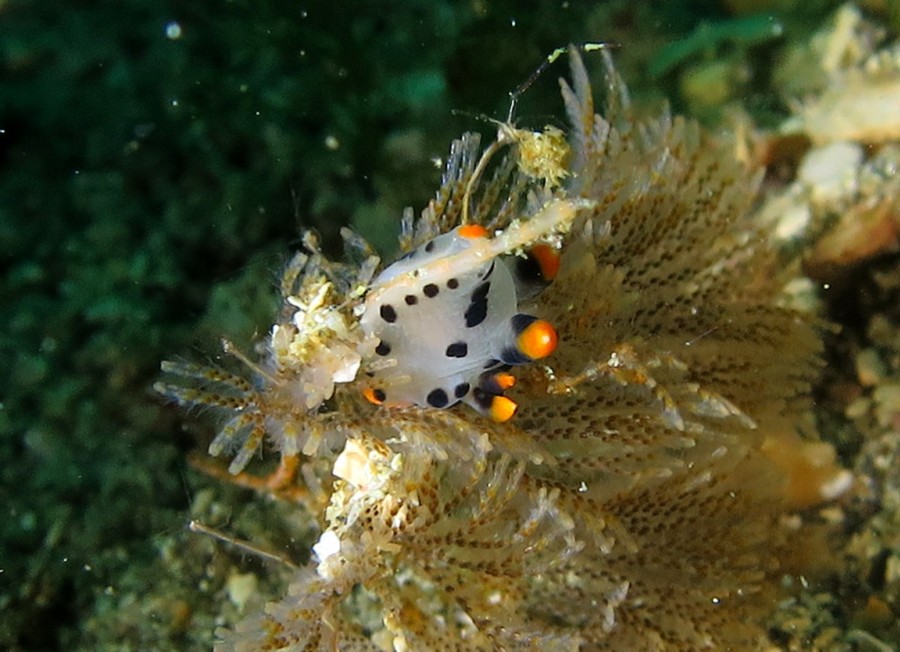 ３/１９　お昼寝中(^O^)