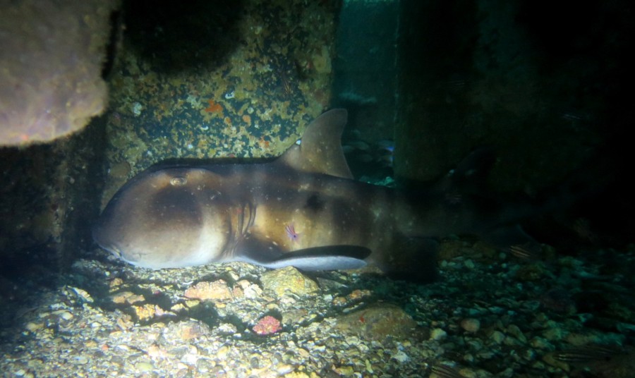 ３/２０　田子へ移動～～(^_^)