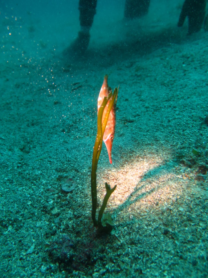 ４/８　絶好調すぎる富戸♪