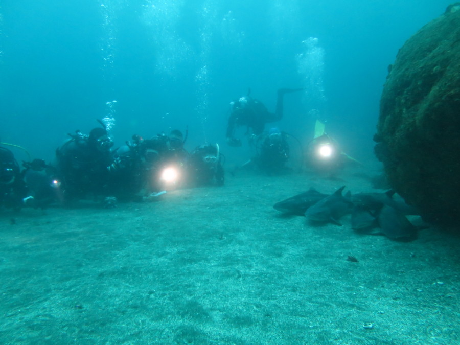 ４/１５　ピラミッド～魚影まだまだ濃いよ～♪