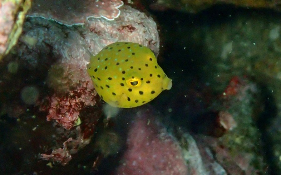 ７/２７　井田に行ってきました！