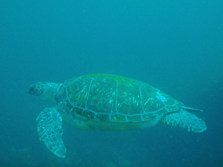 7/29 田子へ行ってきました~