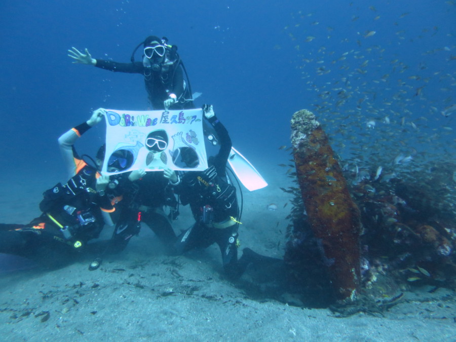 ドルフィンウェーブ沈船洞窟熱海＆天然の漁礁初島１泊ツアー２０１８・１１