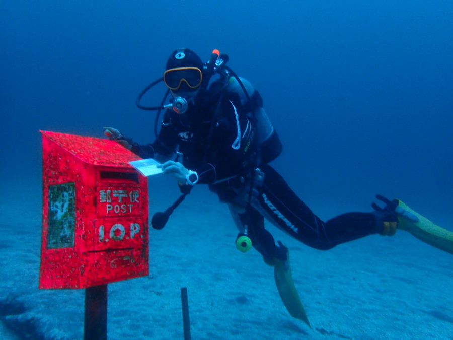 ２／５　本日は八幡野でカエルアンコにフリソデエビ(^^)