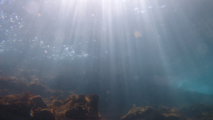 4/1　富戸リニューアルオープンしました♪＼(^^＠)／