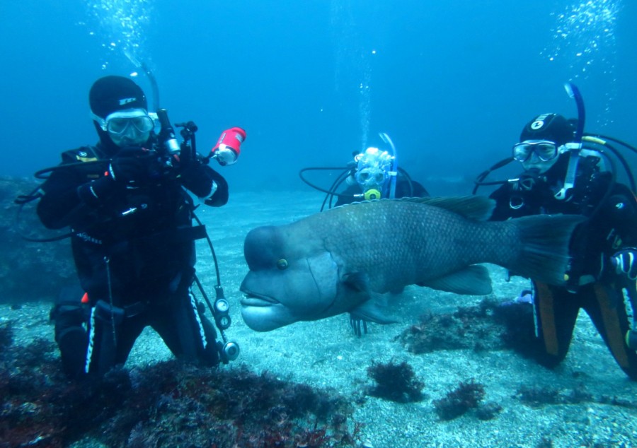 3/27 西伊豆田子に行ってきました(^-^)/