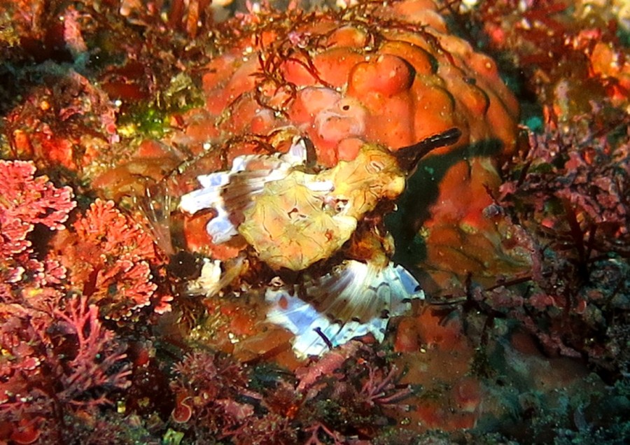 3/31 快晴のIOPは光のシャワーがとっても綺麗ヽ(*´∀`)ノ