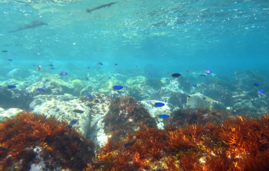 4/7　天使の輪ダンゴBaby♪♪