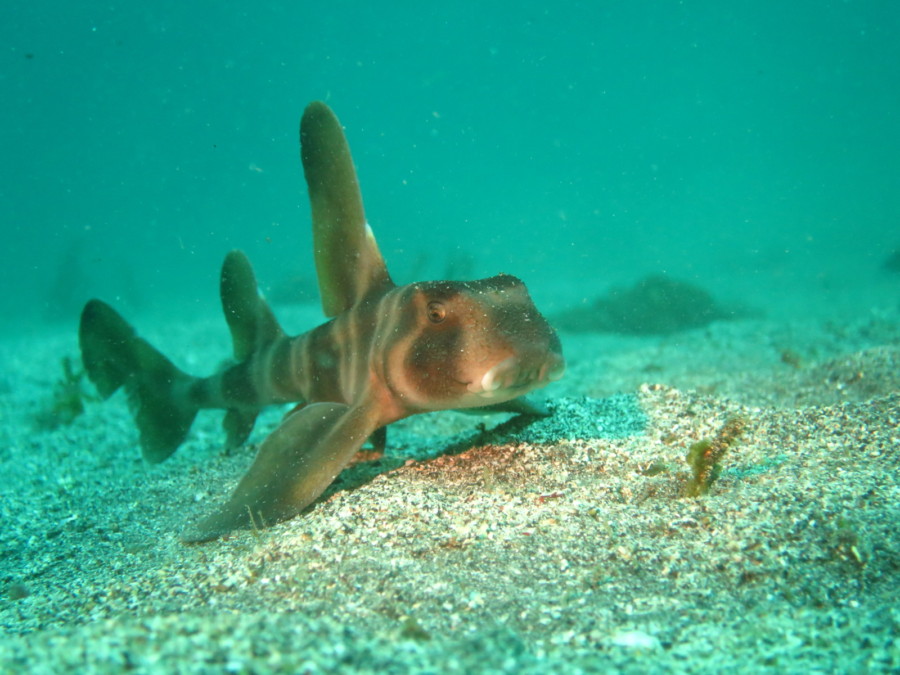 4/19 田子へ行ってきました♪