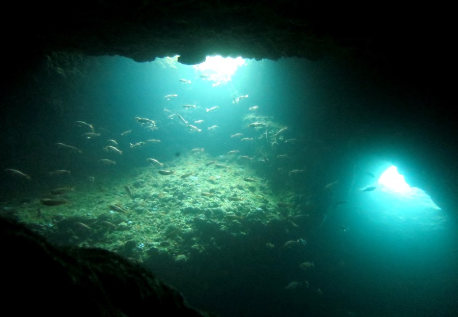 4/19 田子へ行ってきました♪