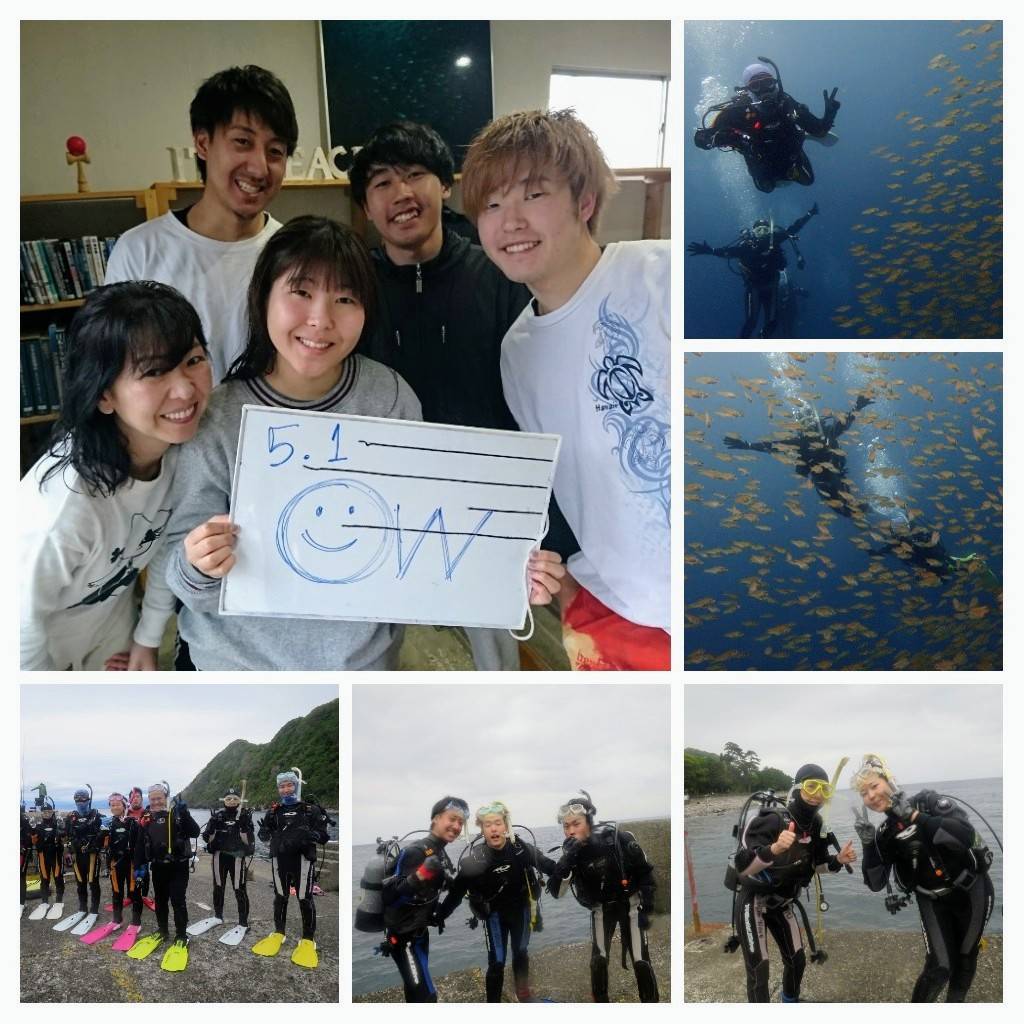 5/2　GW６日目　子ネコザメ三猫士、イロカエルアンコウの大きな口＼(◎o◎)／！
