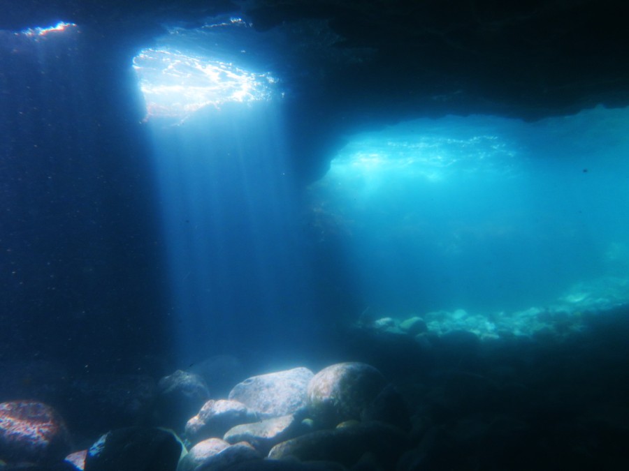 ５/９　子ネコ以外にも見所満載な海ですよ～～(^O^)