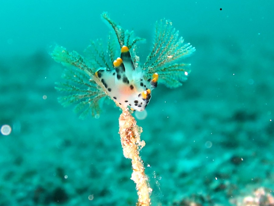 ５/１２　本日は田子に行ってきました～～ヾ(≧▽≦)ﾉ