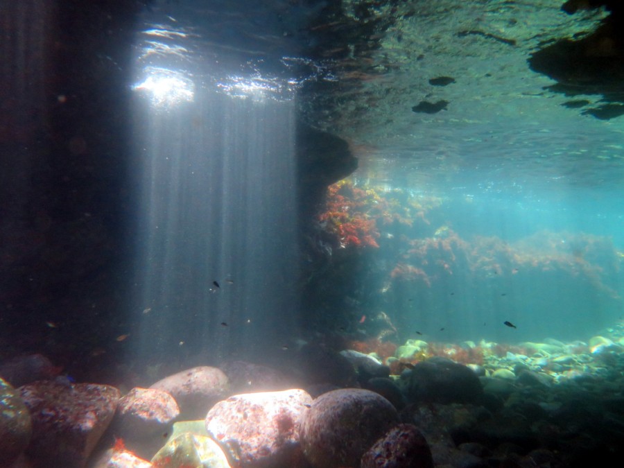 6/6　絶好調の神子元島です‼️この潮を逃さないでください^^v