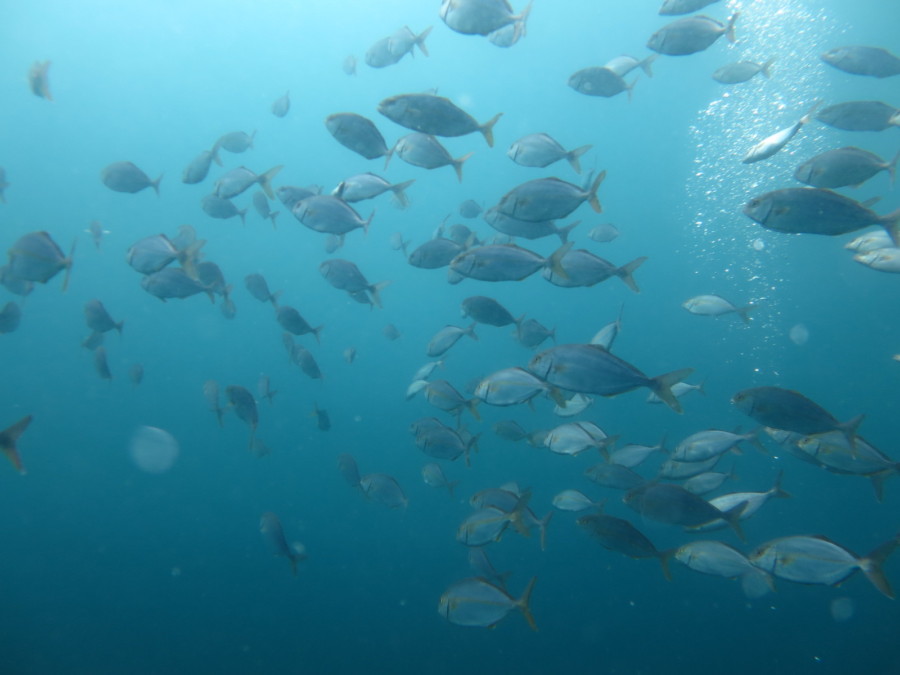 ６/２１　砂地への遊びが楽しい♪