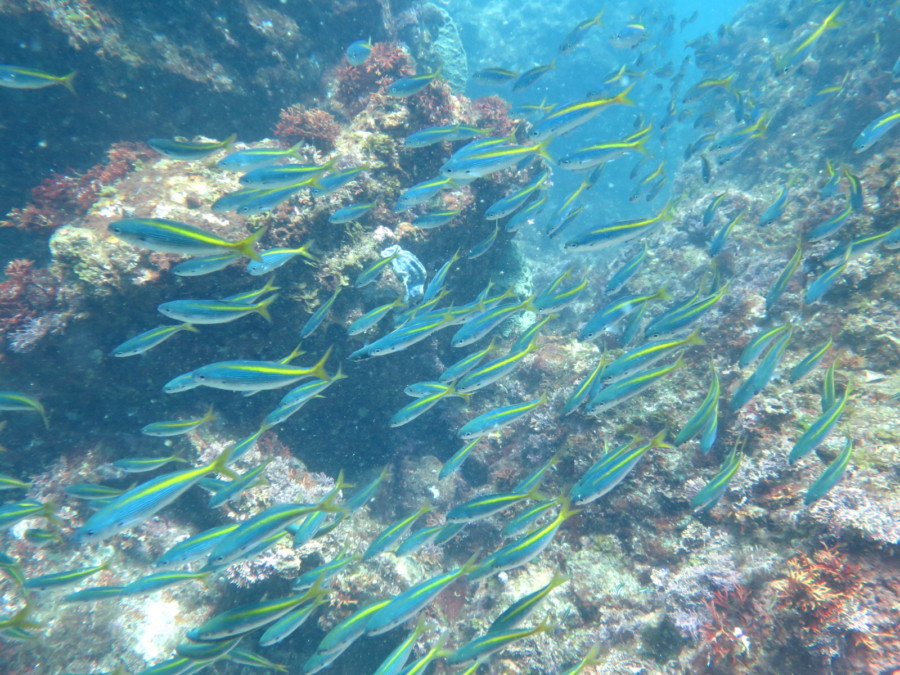 ８/９　カラフルなヨコバマ♪♪