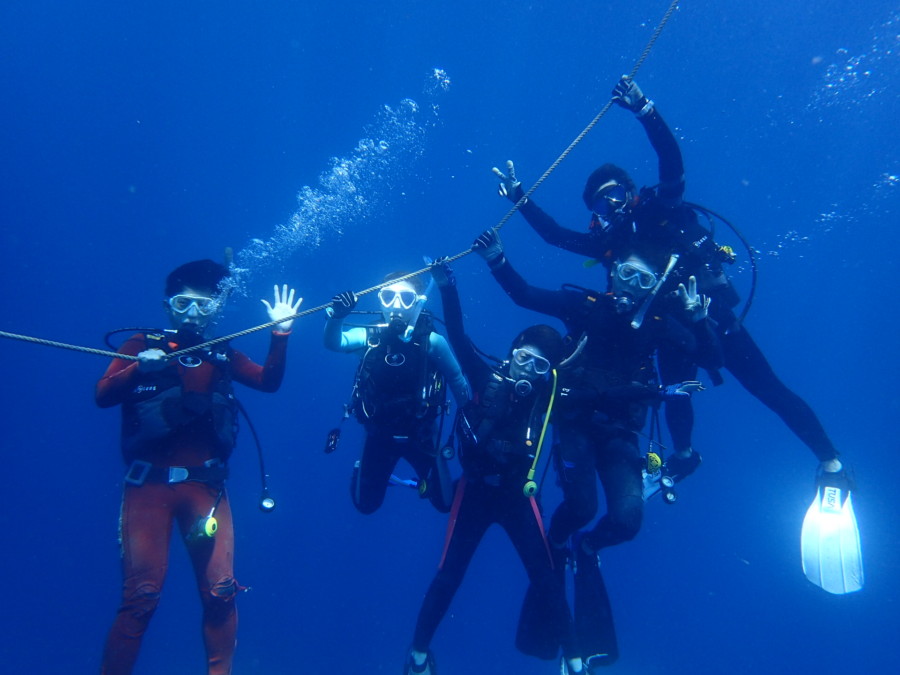 ９月１９日・神子元島　今日もハンマー群れ着底鑑賞に成功！！