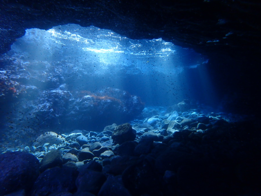 1/12　コンディション最高！青く透明度の高い富戸の海です♪
