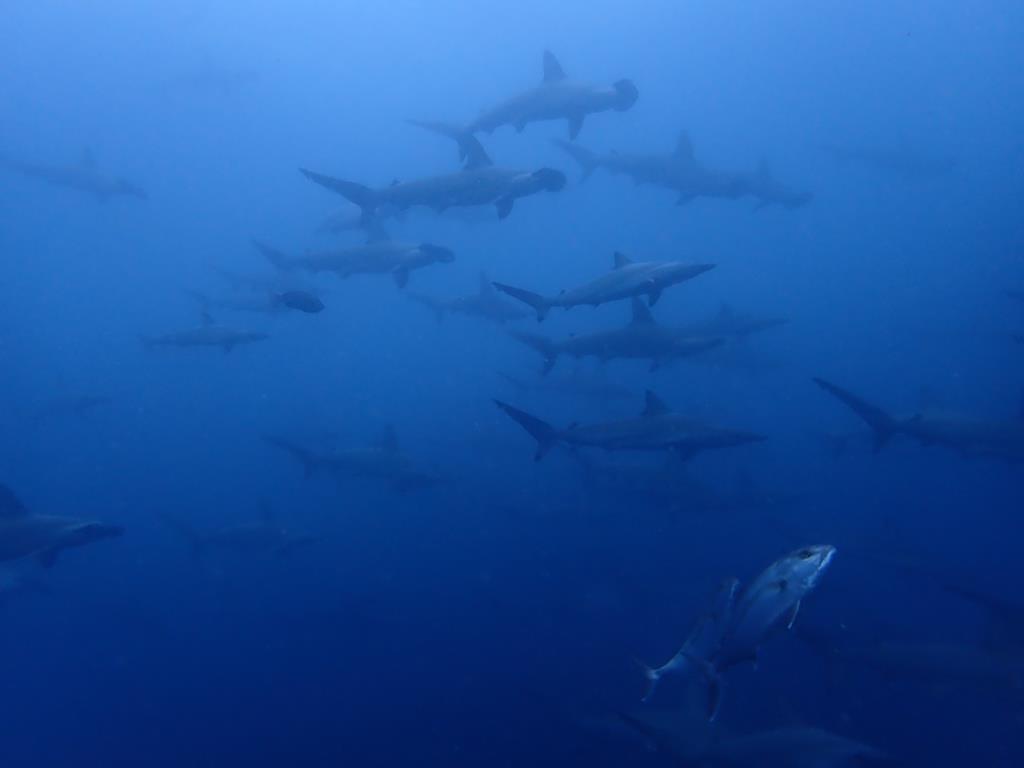 ７/３ かわいい子が続々～～(^^)/