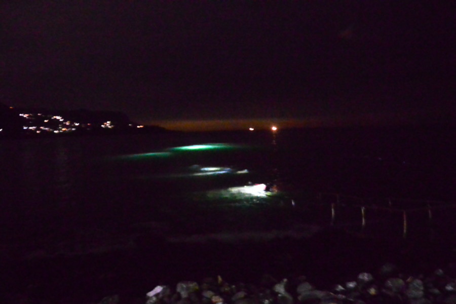 ８月２日・神子元島で４ダイブ！