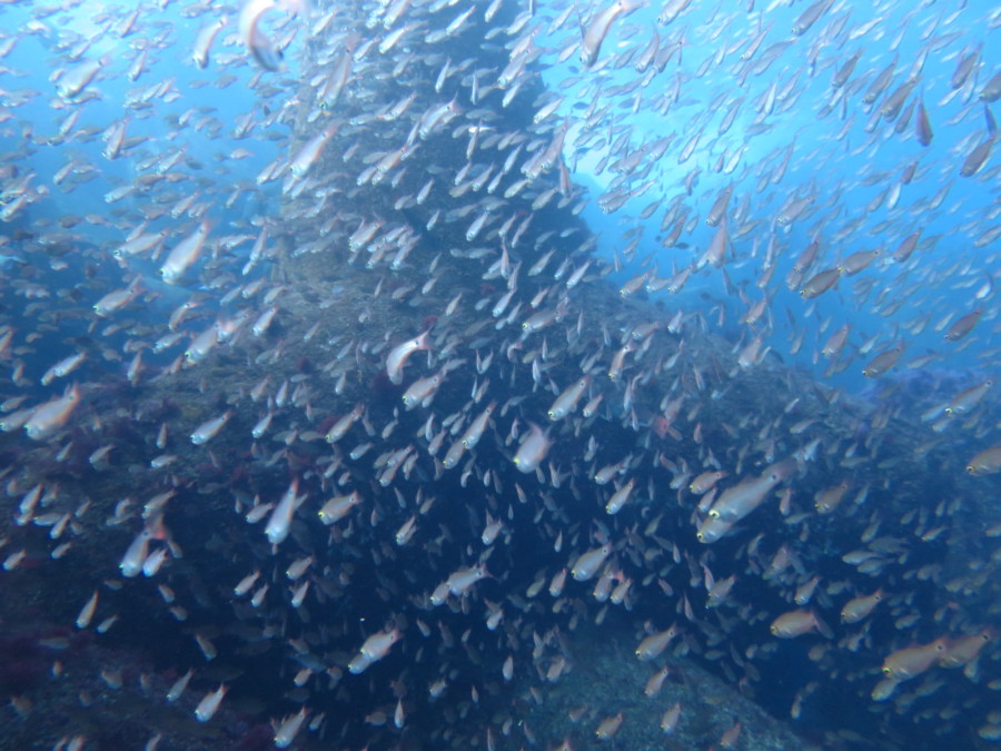 2/9　富戸ホール最高＼(^o^)／