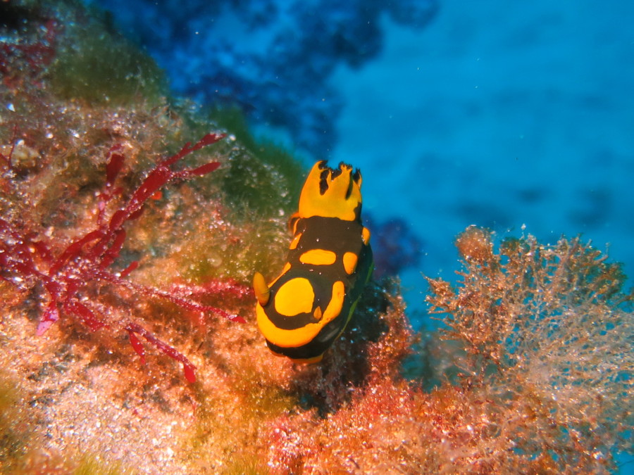 2/9　富戸ホール最高＼(^o^)／