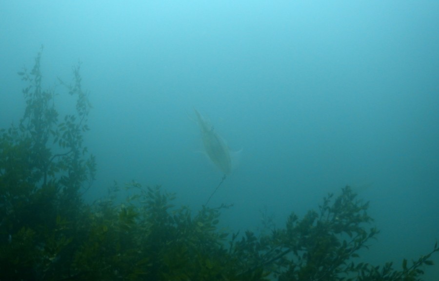 ４/２２　井田へ行ってきました！