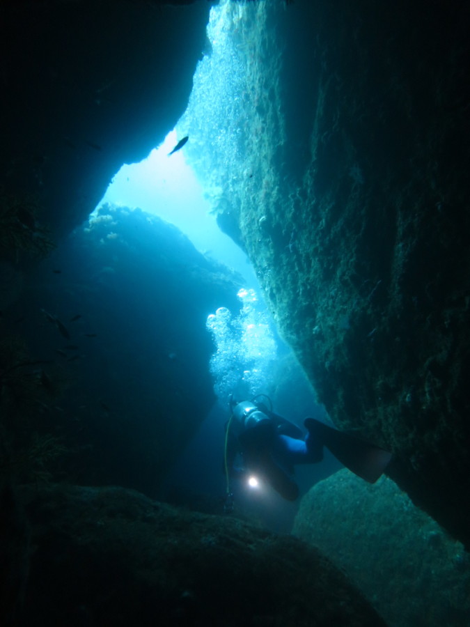5/24 手乗りサイズのネコザメbabyも元気です♪