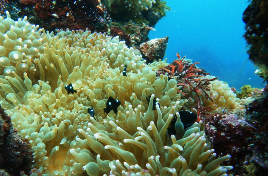 ７/１３　卵の目がキラキラ(☆☆)